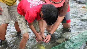 子供用の遊び場 - 屋外 / 5