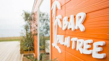 BAR「PALM TREE」② / 4