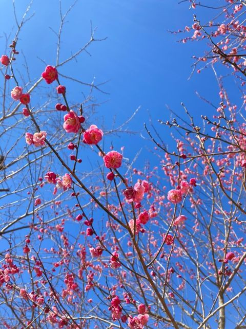 tawayukiさんの写真 / 1