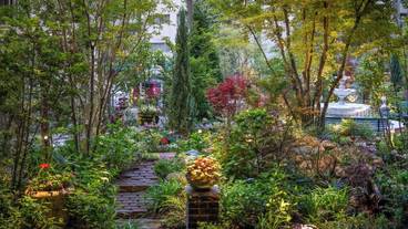 施設の敷地 / 27