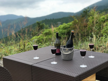 夏の高知は、彼とアウトドアを満喫しましょ♡3987707