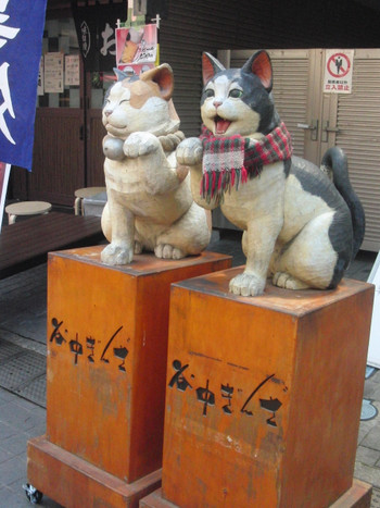 商店街のいたる所に猫ちゃんが♪1026782