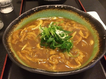 「讃岐うどん 白庵」料理 1199911 「あげカレーうどん