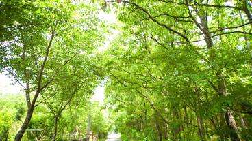 施設からの眺望 / 5