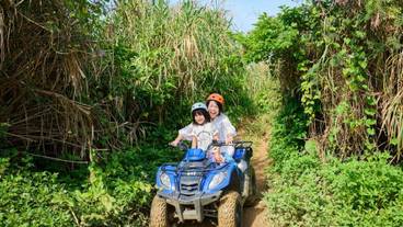 スポーツ設備 / 11