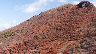 マウンテン ビュー / 9