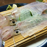 博多駅の居酒屋6選!魚にうるさい博多っ子も大満足の刺身が美味い店を厳選