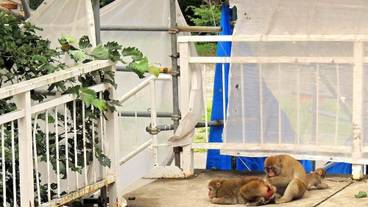 施設の敷地 / 21