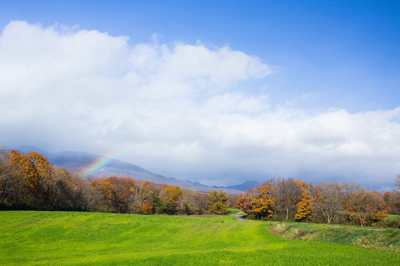 那須の牧草地と虹1