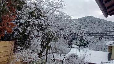 マウンテン ビュー / 17