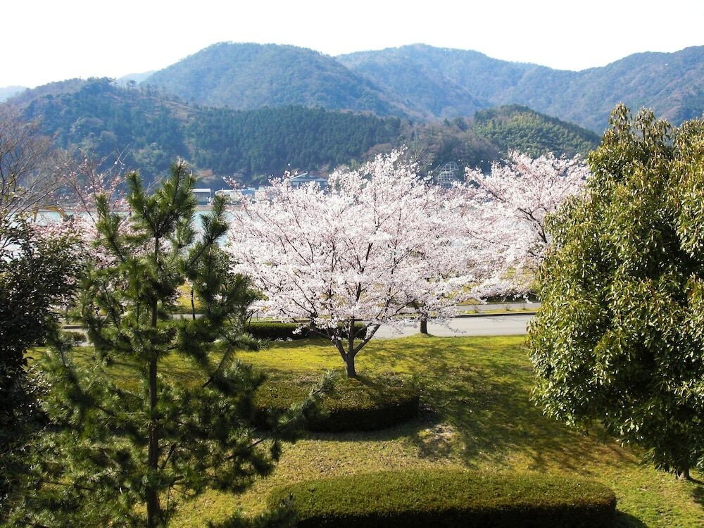 マウンテン ビュー