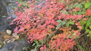 施設の敷地 / 11