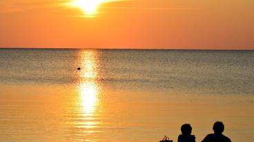 観光スポット / 4