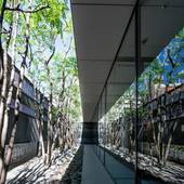 リッチモンドホテル鹿児島天文館（鹿児島県 ビジネスホテル） / 5