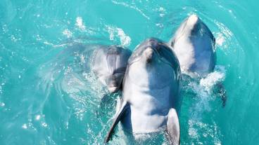 子供向けアクティビティ / 24