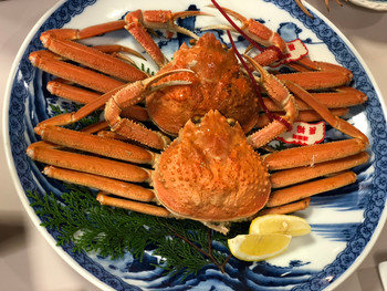 「鹿野温泉 国民宿舎 山紫苑」 料理 142200586 カニのフルコース 茹で松葉蟹