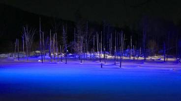 観光スポット / 7