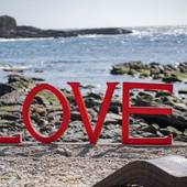 ギネス認定の宿 XYZ Seaside Resort（和歌山県 リゾートホテル） / 3