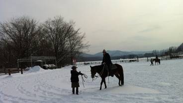 施設の敷地 / 15