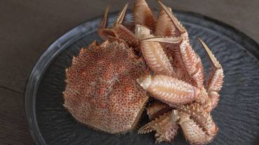 食事・飲み物 / 9