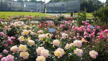 施設の敷地 / 14