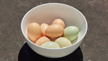 食事・飲み物 / 1