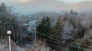 ランド ビュー / 20