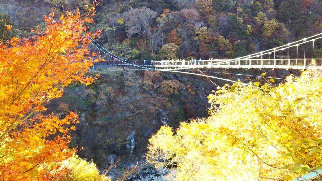 豊かな自然に囲まれた
鬼怒川温泉郷に到着！ / 3