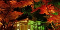 秋の特別拝観が見逃せない！紅葉が美しい京都「宝厳院」