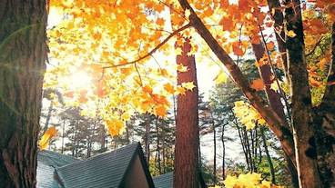 施設の敷地 / 11