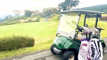 ゴルフ用カート / 20