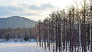 施設からの眺望 / 36