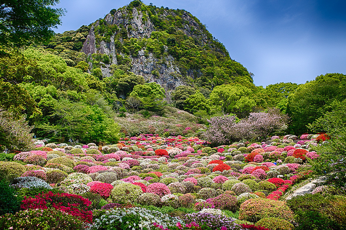 自然とアートが共存する夢うつつな時間4061714