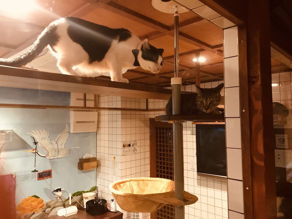 部屋からの景観