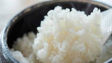 食事・飲み物 / 33