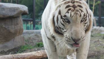 観光スポット / 3