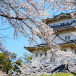 春に行きたい桜の名所！見ごたえのある「小田原城」をご紹介♪
