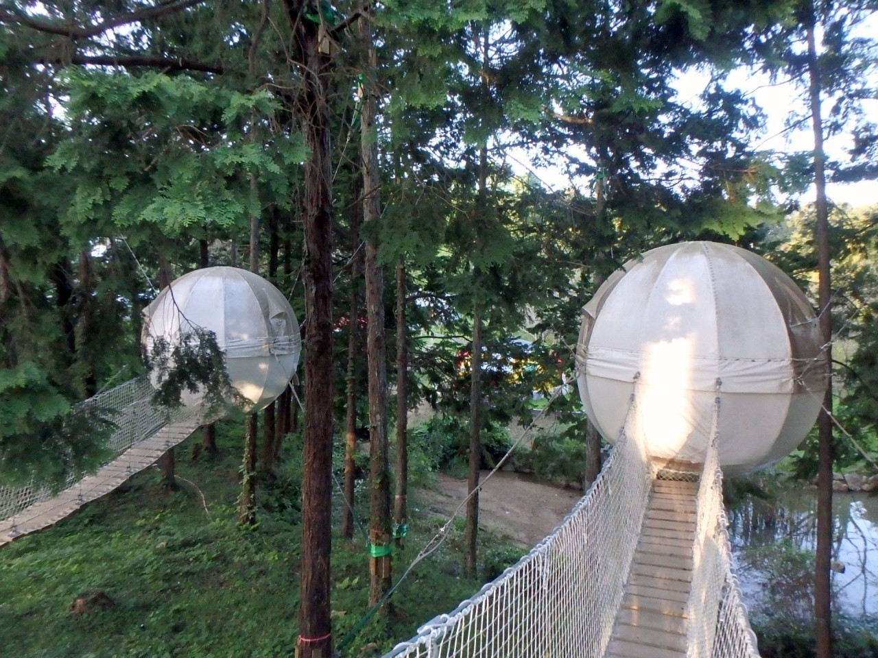 空中テントやムーミンテントで過ごす癒しのグランピング4235833