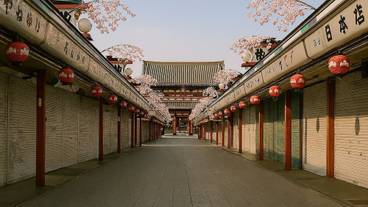 観光スポット / 6