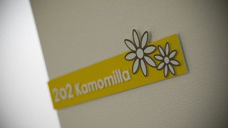 スーペリア トリプルルーム シングルベッド 3 台