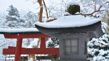 施設の敷地 / 22