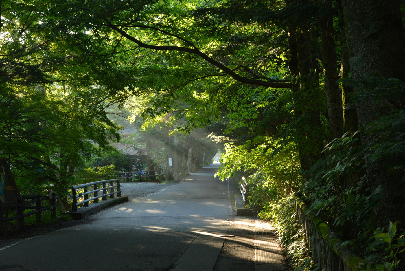 軽井沢の小道