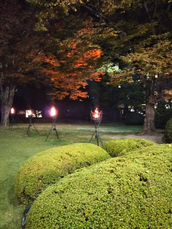 お庭の篝火です