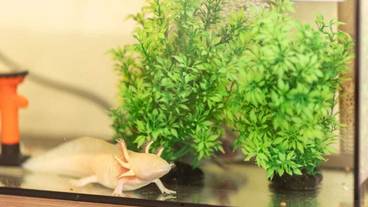 内装の詳細 / 11