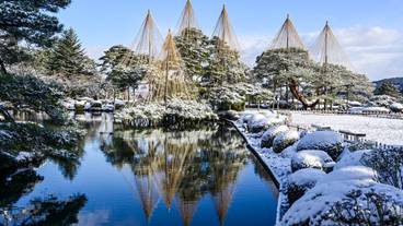兼六園の冬景色 / 7