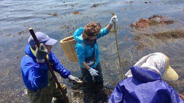 エコツアー / 18