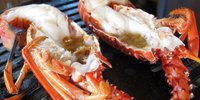 千葉の漁港でリーズナブルに海鮮三昧♪漁協の直営食堂がおすすめ