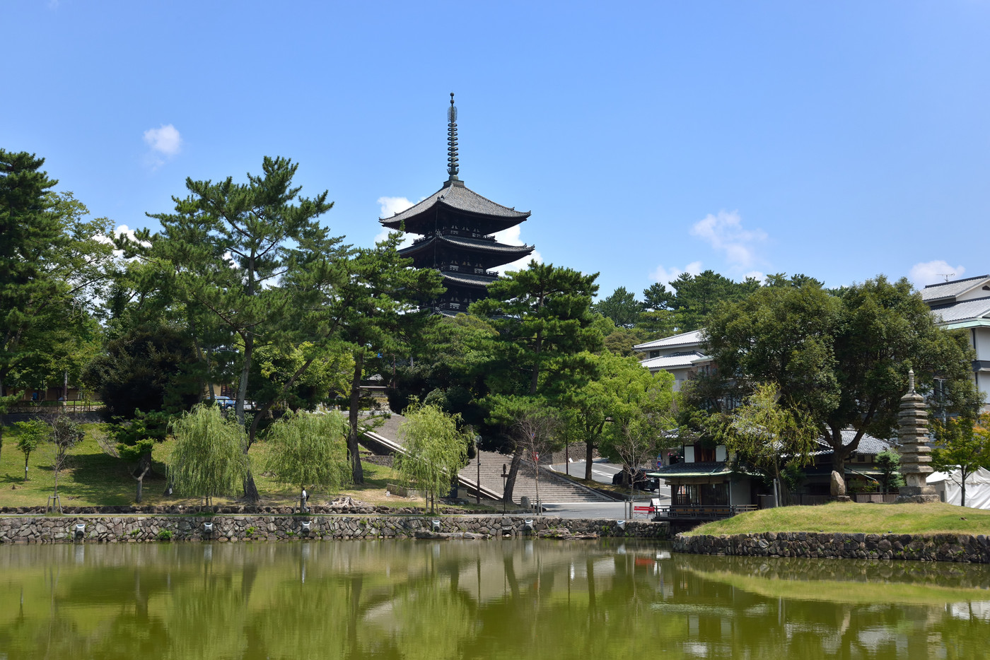 世界遺産 興福寺ライトアップ 猿沢池
