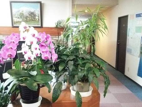 白馬八方温泉 白馬ホテル花乃郷 / 1