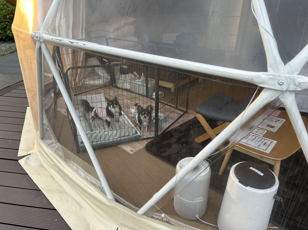 グランピングテント外から部屋内を撮影